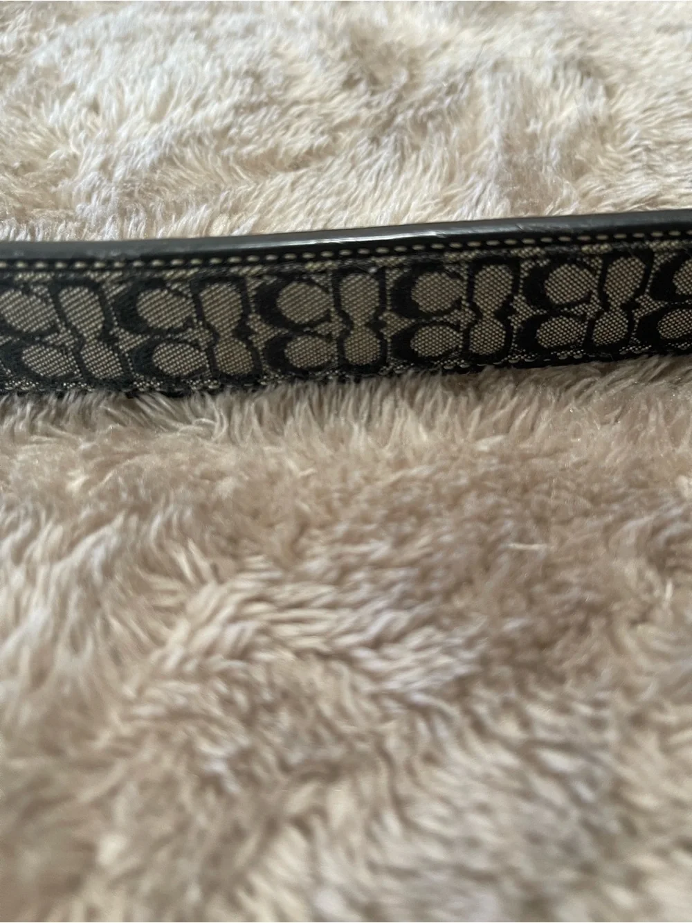 Coach stylish signature